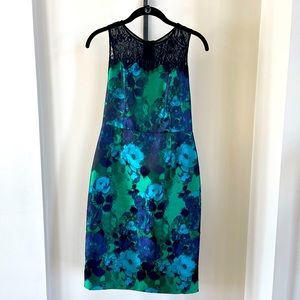 Stunning Anthropologie Leifsdottir Water Garden Lace Dress Size 2